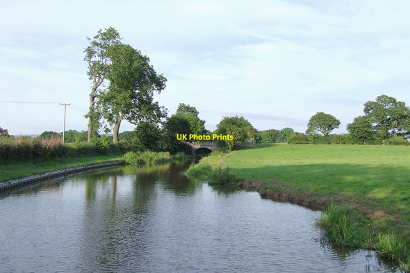 Photo 6"x4" Macclesfield Canal, Buglawton, Cheshire Congleton c2007