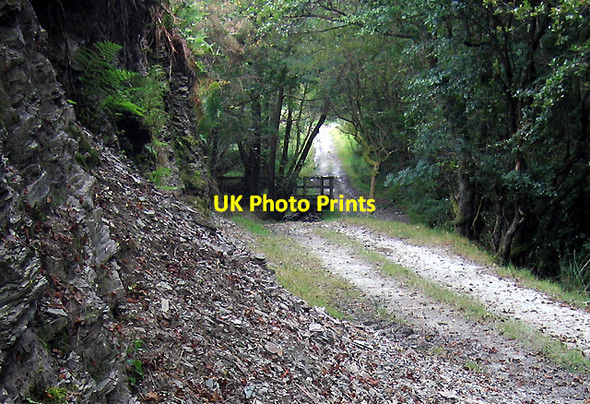 Photo 6"x4" Ford and Footbridge on Glyndwr's Way Newchapel\/SN9883 c2007