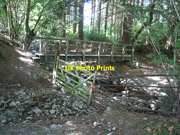 Photo 6"x4" Footbridge in Dyfnant Forest Dd\u00f4l Cownwy c2007