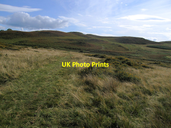 Photo 6"x4" Paths on Allt Dolanog Dolanog c2007