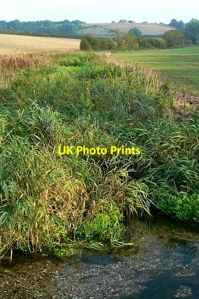 Photo 6"x4" Watercourse between Preston and Whittonditch, Wiltshire Preston\/SU2773 c2007