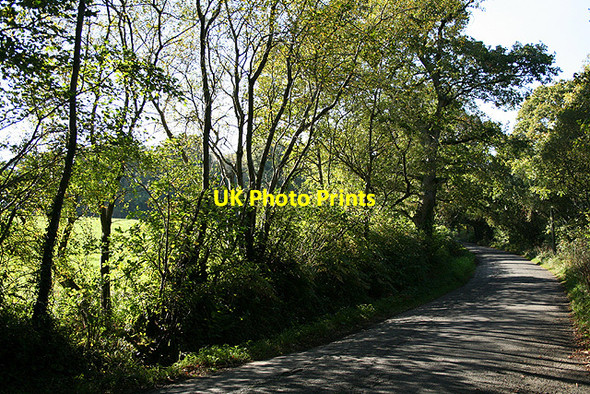 Photo 6"x4" Egloskerry: in the Ottery valley Egloskerry c2007
