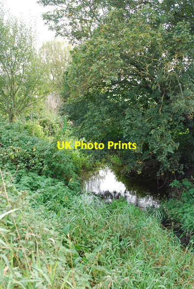 Photo 6"x4" Bow Brook Combe Throop c2007