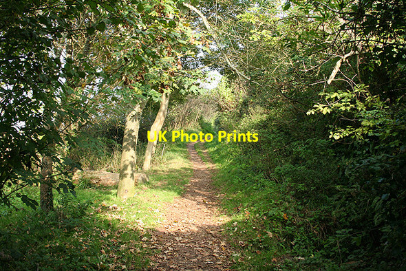 Photo 6"x4" Ringmore: Smugglers Lane Ringmore c2007