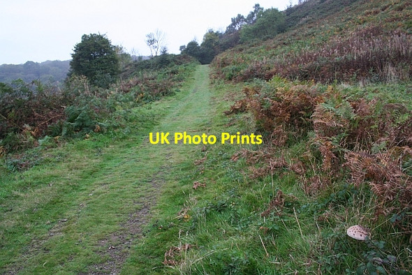 Photo 6"x4" Track to the Old Quarry, Swinyard Hill Chandler's Cross\/SO7738 c2007