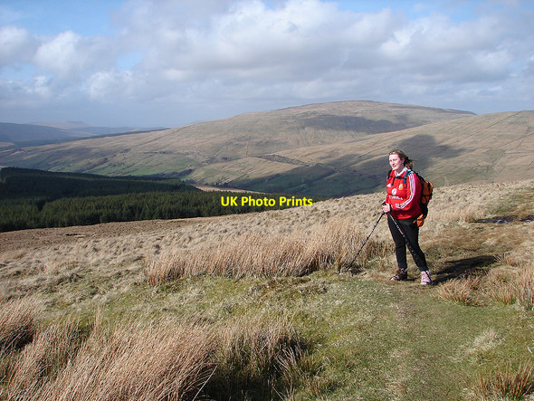 Photo 6"x4" Blea Moor Stone House\/SD7785 c2006