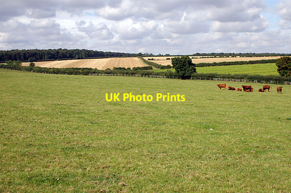 Photo 6"x4" Field below Halliday Hill Clixby c2007