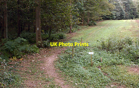 Photo 6"x4" Bridleway on Halliday Hill Clixby c2007