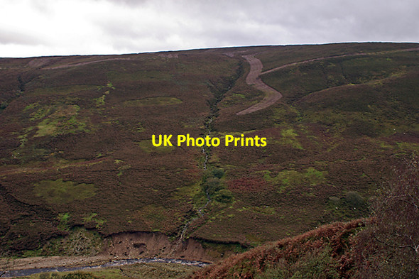Photo 6"x4" Birch Bank Sykes\/SD6351 c2007