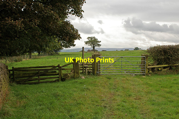 Photo 6"x4" On the path to Bolton Hall Hoghton Bottoms c2007