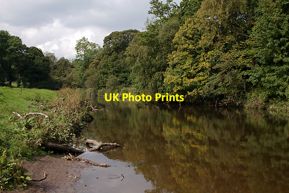 Photo 6"x4" River Darwen Hoghton Bottoms c2007