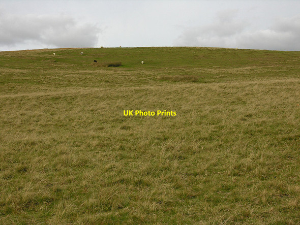 Photo 6"x4" High up on Esgair Crawnllwyn Esgair Crawnllwyn c2007