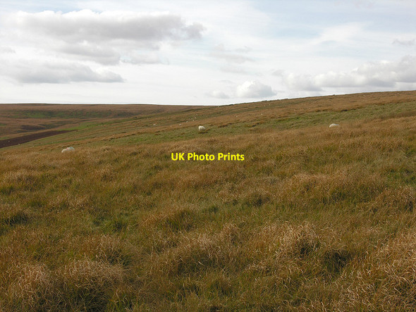 Photo 6"x4" The ridge of Esgair Crawnllwyn Esgair Crawnllwyn c2007