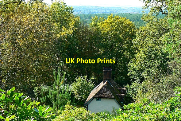 Photo 6"x4" View from the garden at Clouds Hill, Dorset Bovington Camp c2007