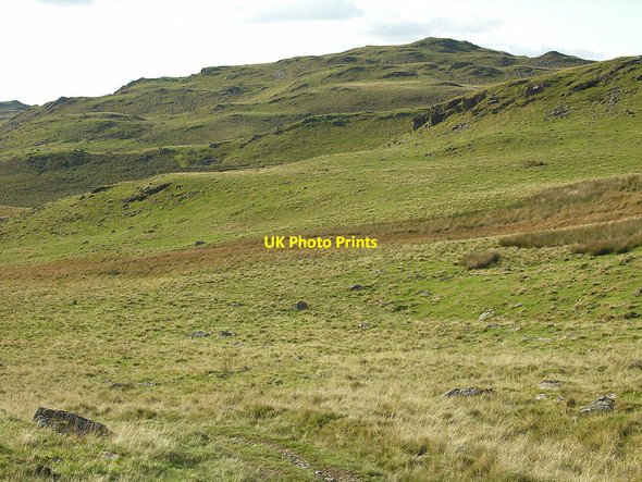Photo 6"x4" Diverging paths Bryn Eithinog\/SN7866 c2007