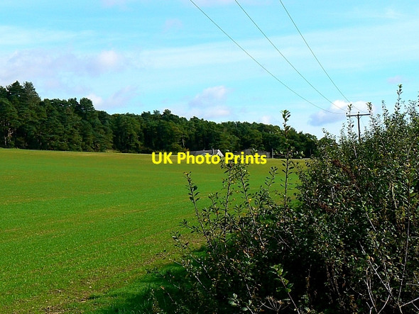Photo 6"x4" Tolpuddle Ball, near Tolpuddle, Dorset Affpuddle c2007