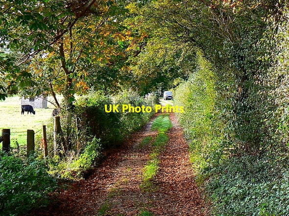 Photo 6"x4" Bridleway to Ashley Barn, near Tolpuddle Briantspuddle c2007