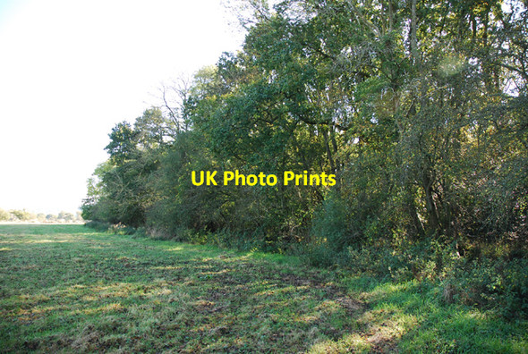 Photo 6"x4" Northern Park Pale Motcombe c2007