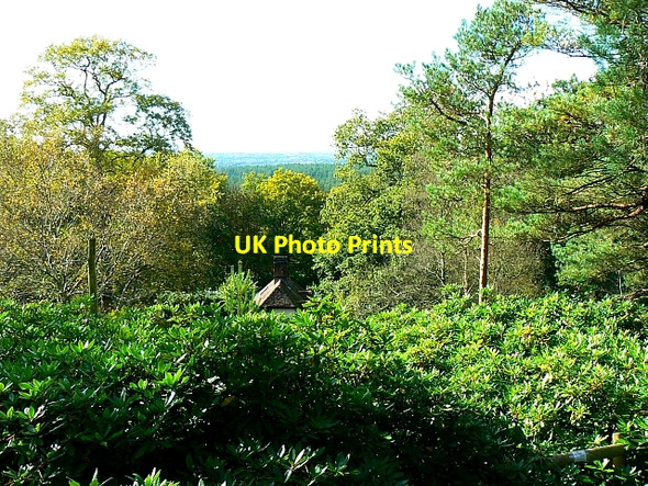 Photo 6"x4" View from Clouds Hill, Dorset Bovington Camp c2007