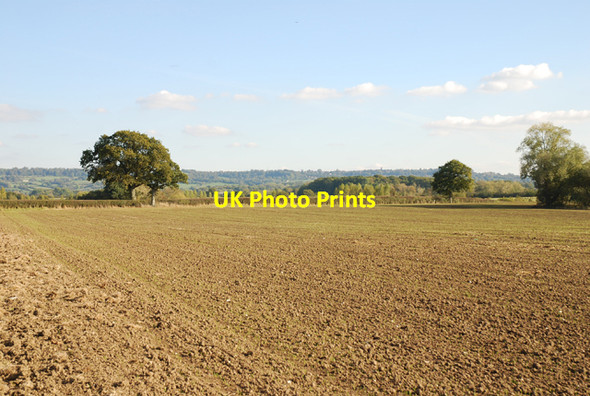 Photo 6"x4" Field on Ham Common Gillingham\/ST8026 c2007