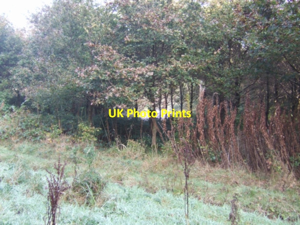 Photo 6"x4" Pool hidden amongst the trees Norbury Junction c2007