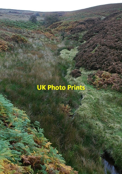 Photo 6"x4" Highshaw Clough Ashopton c2007
