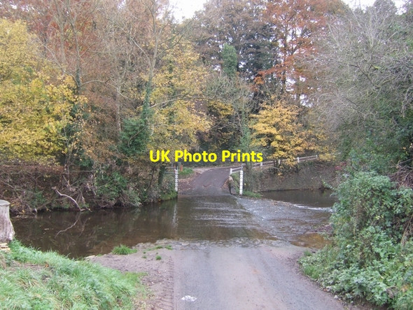 Photo 6"x4" Tricky ford Neen Savage c2007