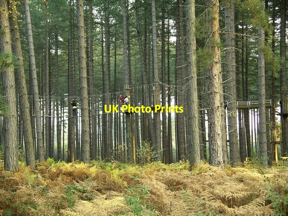 Photo 6"x4" Go Ape! Kings Clipstone c2007