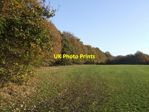 Photo 6"x4" Autumn in Rough Wood Nature Reserve Bloxwich c2007
