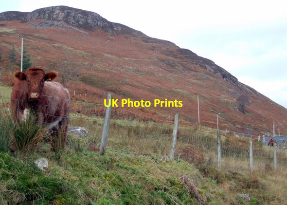 Photo 6"x4" Cnoc an Droighinn, above Ardindrean, loch Broom Ardindrean c2007