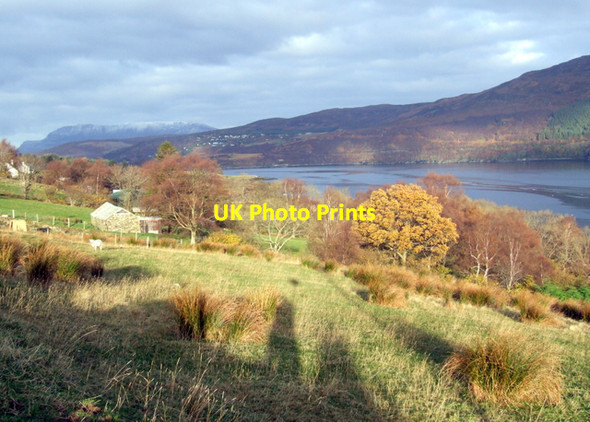 Photo 6"x4" Rhiroy, Loch Broom Rhiroy c2007