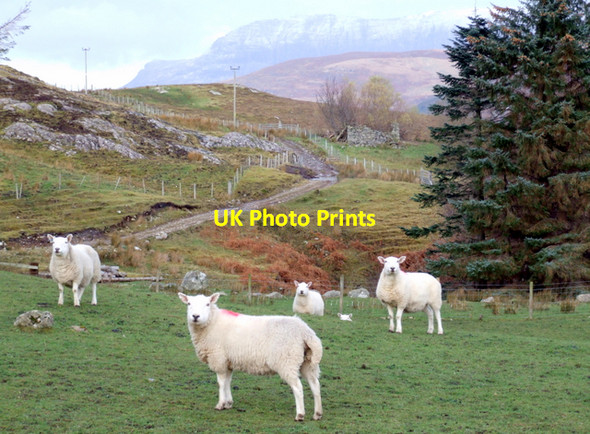 Photo 6"x4" End of the road, Blarnalearoch, Loch Broom Blarnalearoch c2007