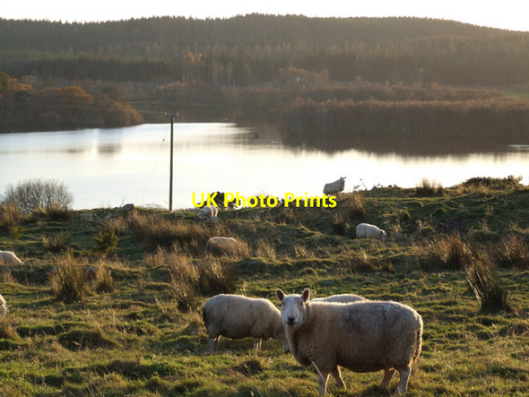 Photo 6"x4" Loch Ussie Knockfarrel c2007