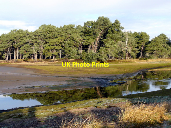 Photo 6"x4" Balblair Bay - at low tide Littleferry c2007
