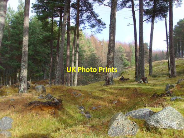 Photo 6"x4" At Braeantra, Strath Rusdale Creag Braigh an t-Sratha c2007