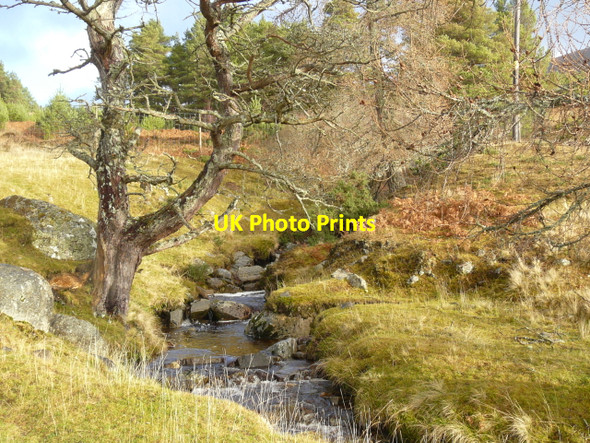 Photo 6"x4" Burn near Braeantra, Strath Rusdale Braeantra c2007