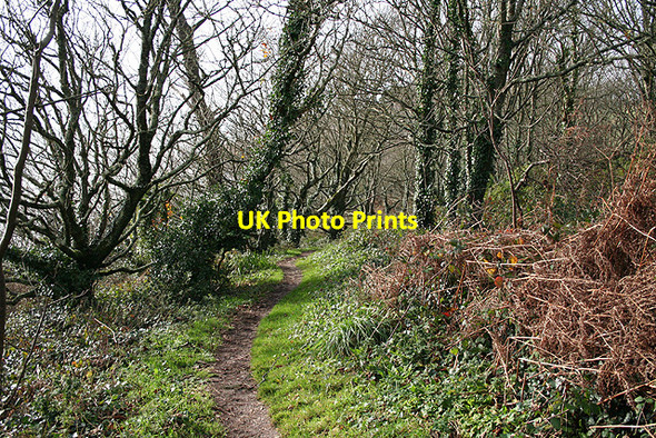 Photo 6"x4" Holbeton: on Owen\u00e2\u0080\u0099s Hill Mothecombe c2007