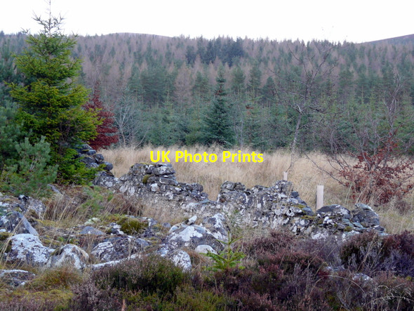 Photo 6"x4" Forestry land near Loch Dubh Cnoc Ruadh c2007