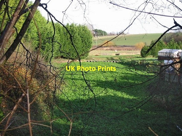 Photo 6"x4" Watercress beds on Watercress Lane, Wingham Well Wingham Well c2007