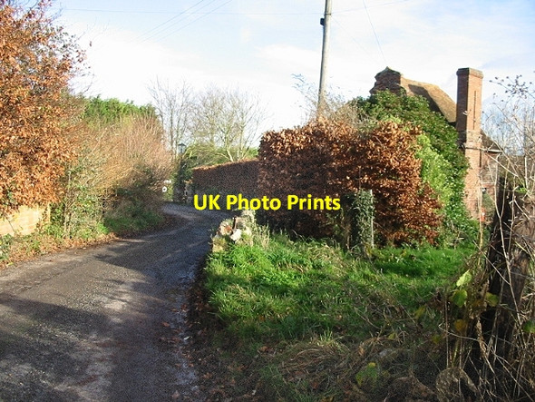 Photo 6"x4" View along Watercress Lane, Wingham Well Wingham Well c2007