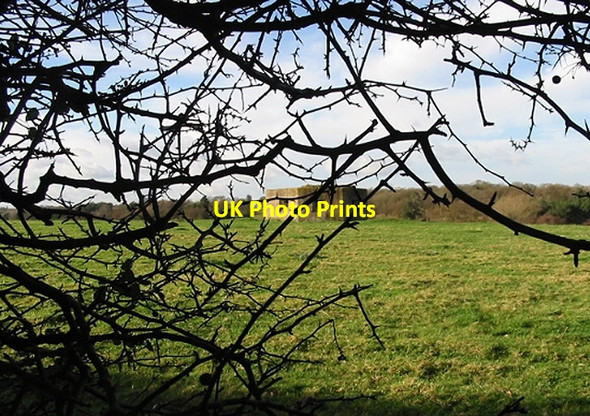 Photo 6"x4" Pill box viewed through the hedge on  Hollybush Lane Stodmarsh c2007