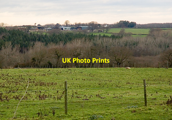 Photo 6"x4" Trees growing in the vale of Palmer's Brook Dallimores c2007
