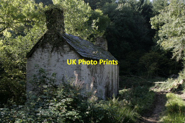 Photo 6"x4" Deserted cottage, Leigh Barton Stamborough c2007