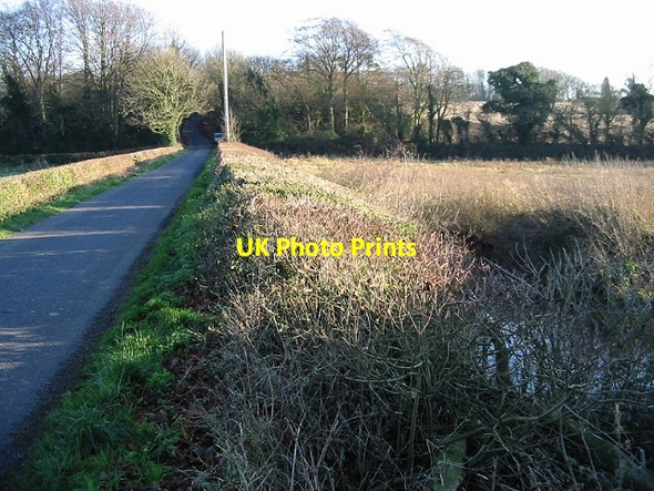 Photo 6"x4" Lane and hedgerow Golgotha c2007