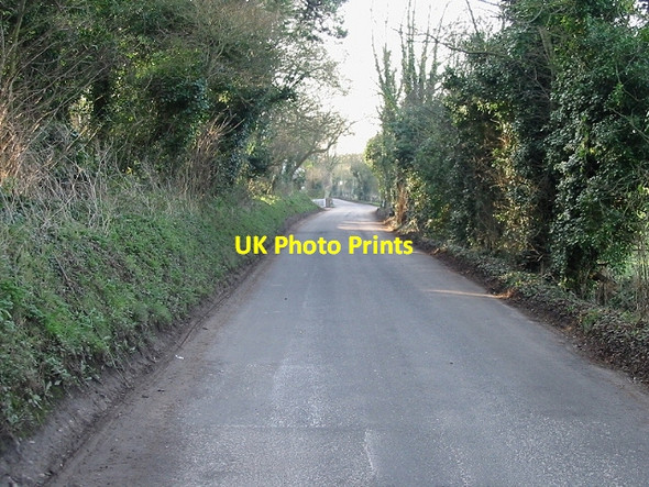 Photo 6"x4" Looking SW along Vale Road, Sutton Sutton\/TR3349 c2007