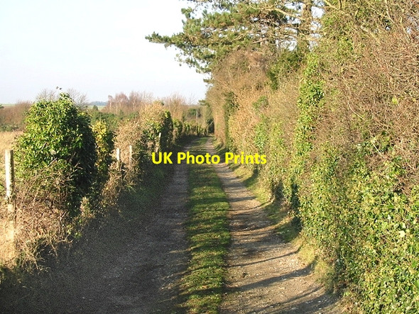 Photo 6"x4" Private road to The Firs, Sutton Downs Martin\/TR3347 c2007