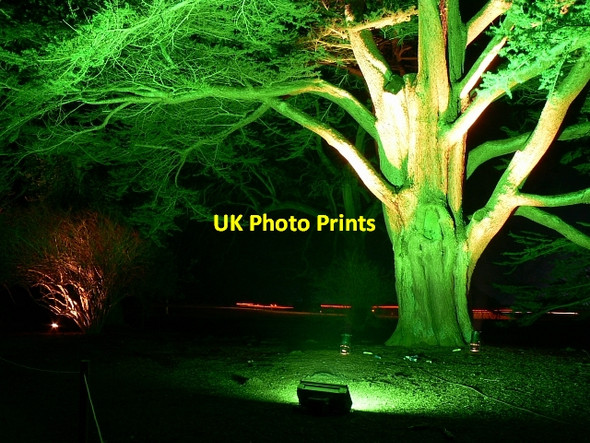 Photo 6"x4" Circular Drive, Westonbirt Arboretum (3) Westonbirt c2007