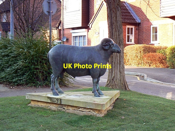 Photo 6"x4" Dewell Mews, Swindon Swindon\/SU1685 c2007