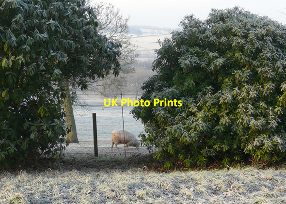 Photo 6"x4" Lowther Park Askham\/NY5123 c2007