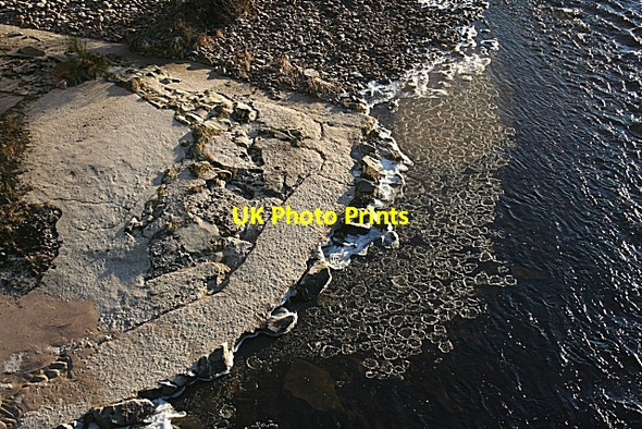 Photo 6"x4" The Bank of the River Spey Fochabers c2007